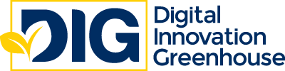 Digital Innovation Greenhouse