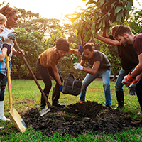 Group of young people planting in a tree