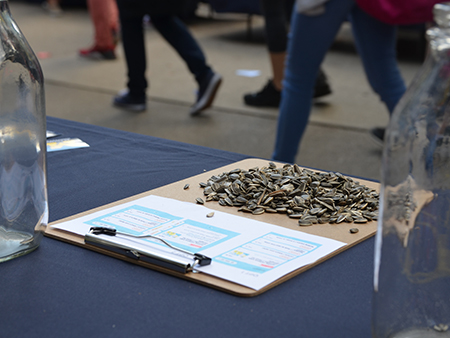 A pile of sunflower seeds on a clipboard on top of a table between two empty glass jugs with students walking by