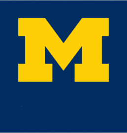 Block M logo