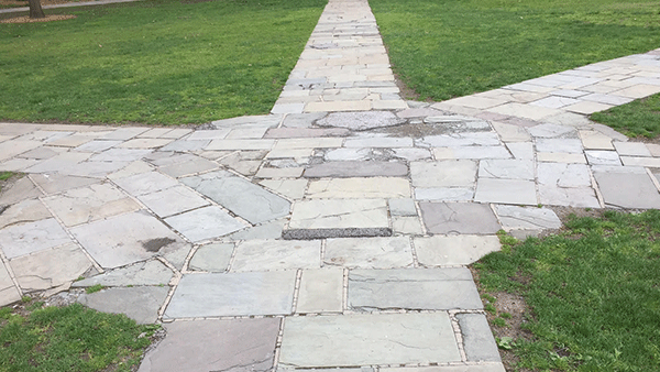 Enter the Compassionate Public Square for the Information Age