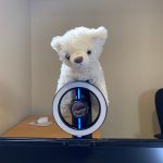 teddy bear propped behind web cam