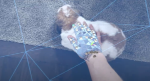 petting a bunny in virtual reality.