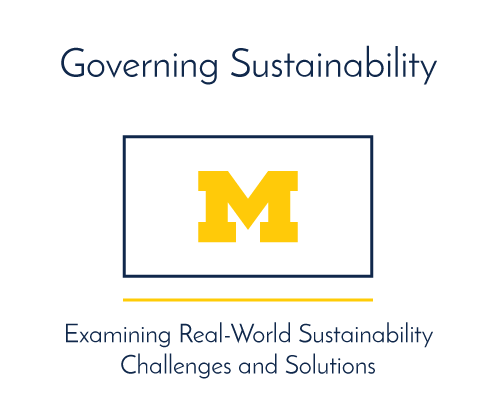 Governing Sustainability